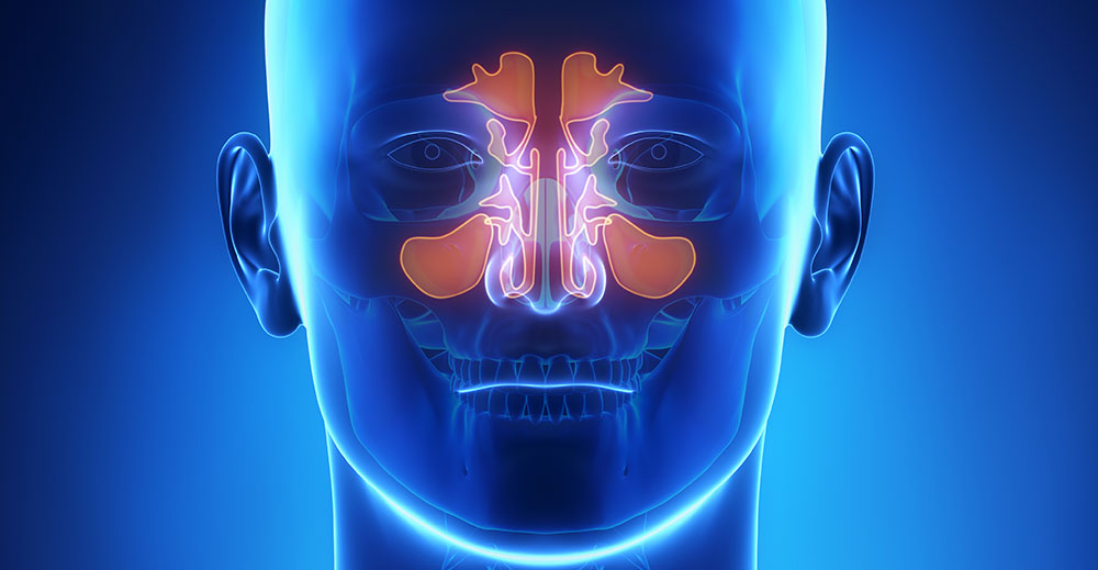 Respiratory Medicine | Specialities & Treatments at Parkside Suite Wexham