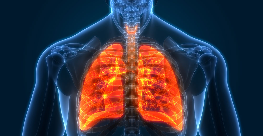 Thoracic Medicine | Specialities & Treatments at Parkside Suite Wexham