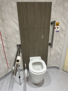 Ensuite toilet